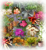 bouquet.jpg